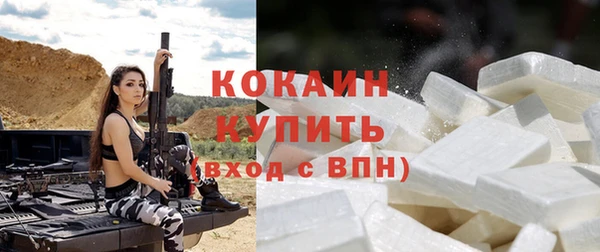 стаф Сосновоборск