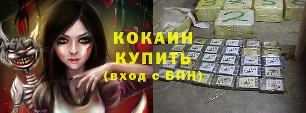 шишки Арсеньев