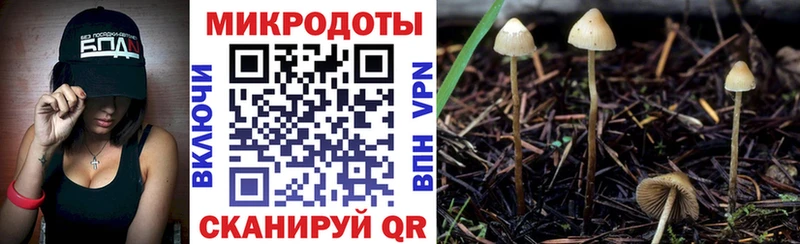 Галлюциногенные грибы Magic Shrooms наркота Мурманск